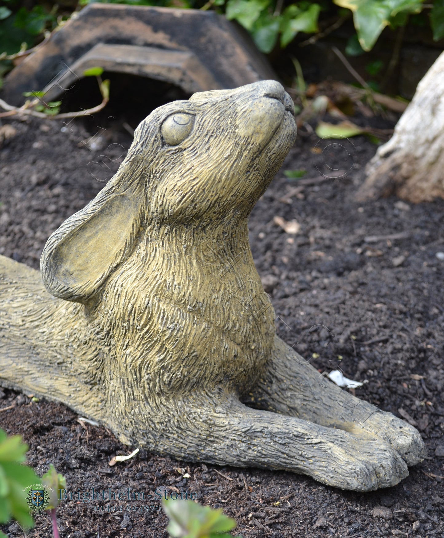 Reclining Moon Gazing Hare