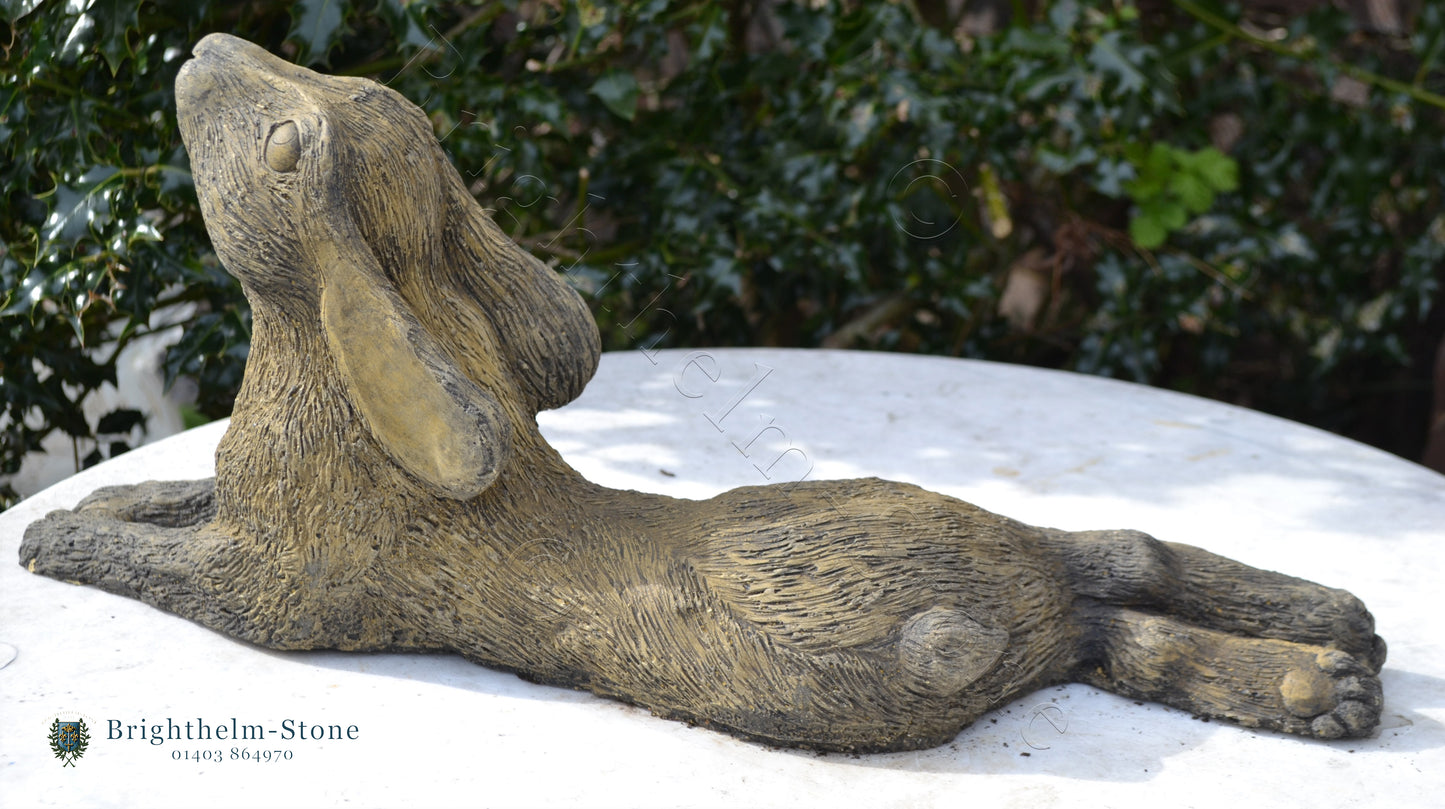 Reclining Moon Gazing Hare