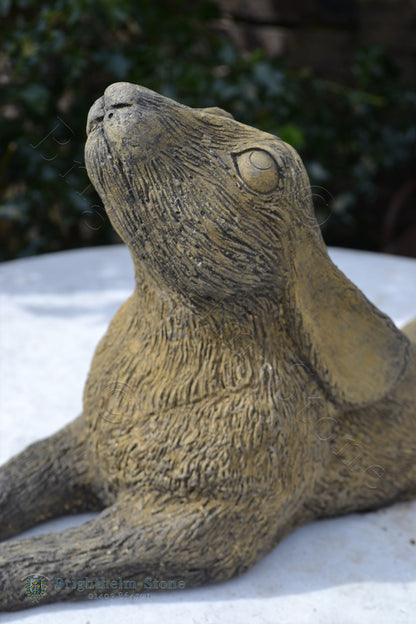 Reclining Moon Gazing Hare