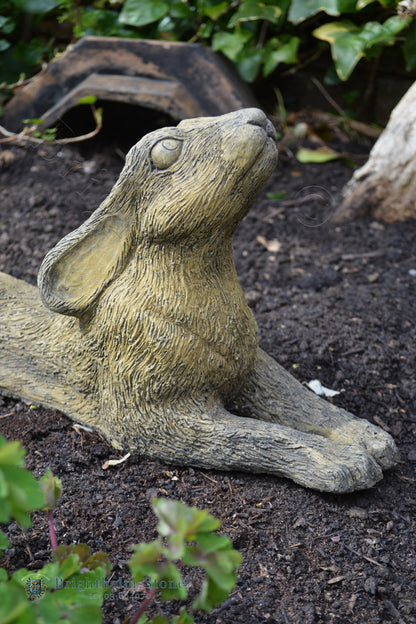 Reclining Moon Gazing Hare