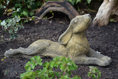 Reclining Moon Gazing Hare
