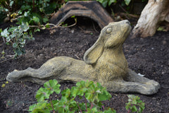 Reclining Moon Gazing Hare