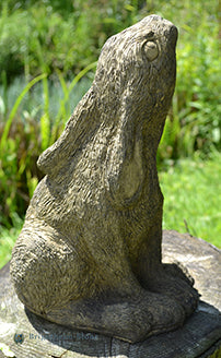 Mother and Baby Moon Gazing Hare