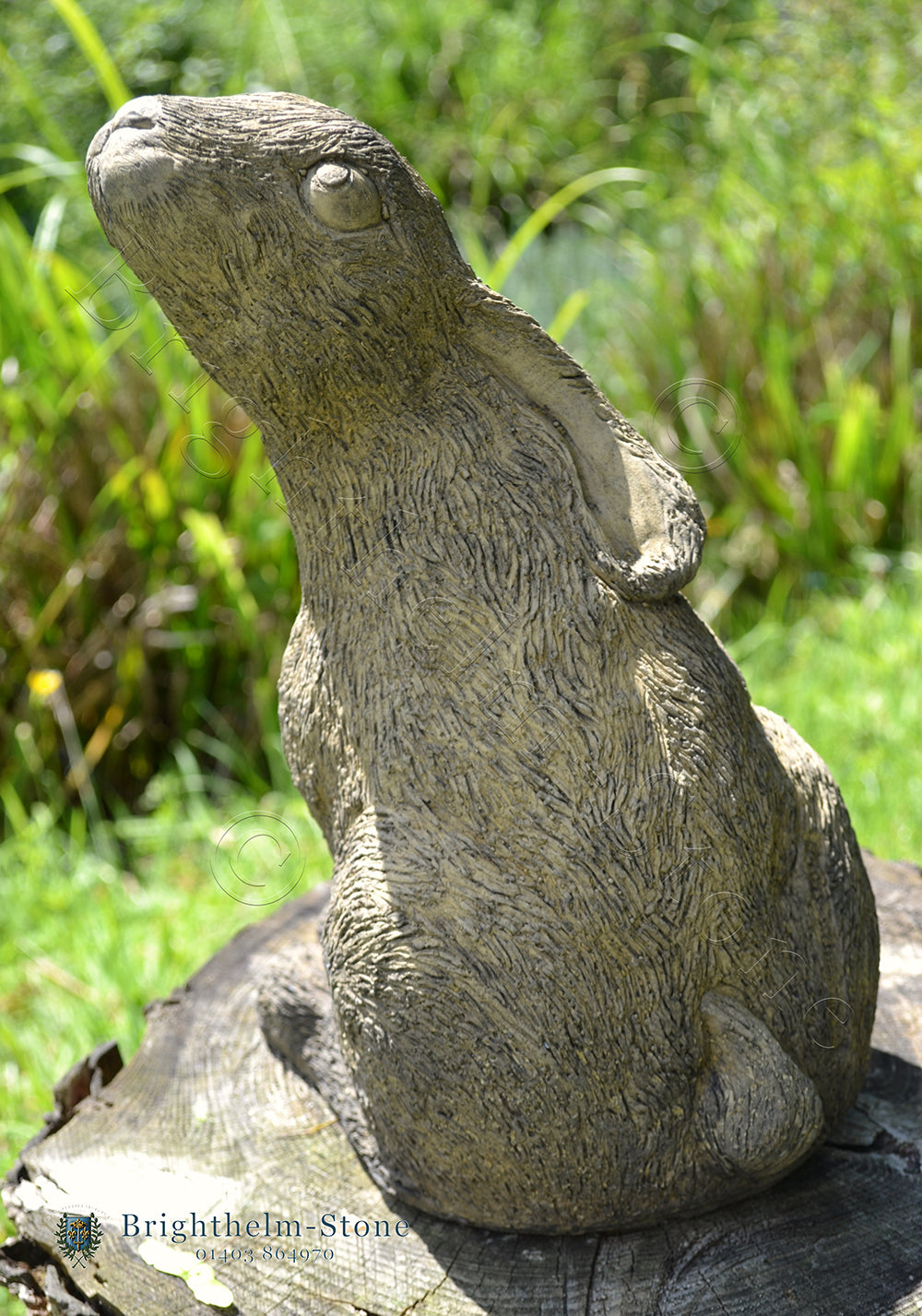 Mother and Baby Moon Gazing Hare