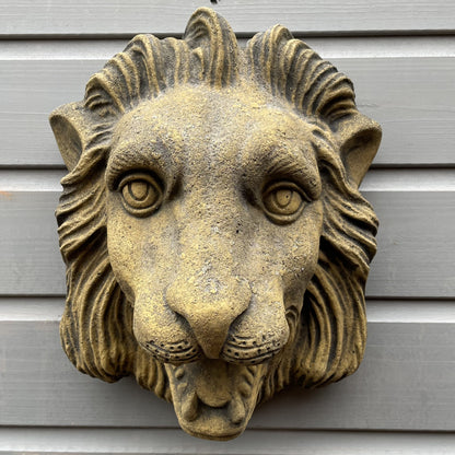 Nemean Lion Fountain Mask