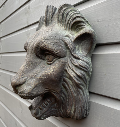Nemean Lion Fountain Mask