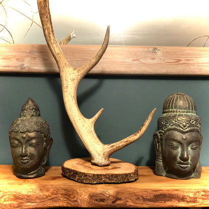 Pair of Buddha Heads