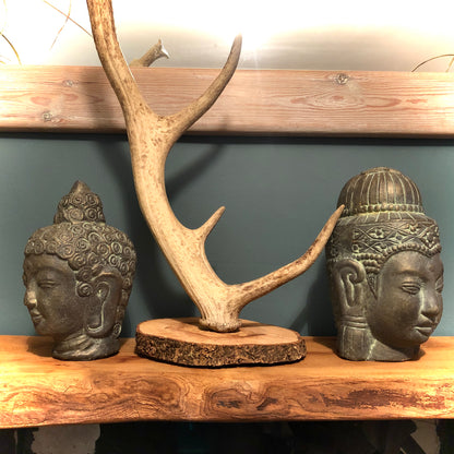 Pair of Buddha Heads