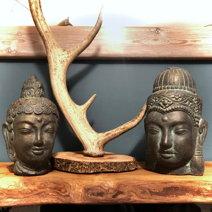 Pair of Buddha Heads