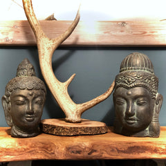Pair of Buddha Heads