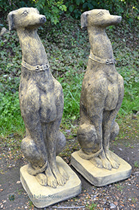 Sheamus Whippet Pair of Dogs