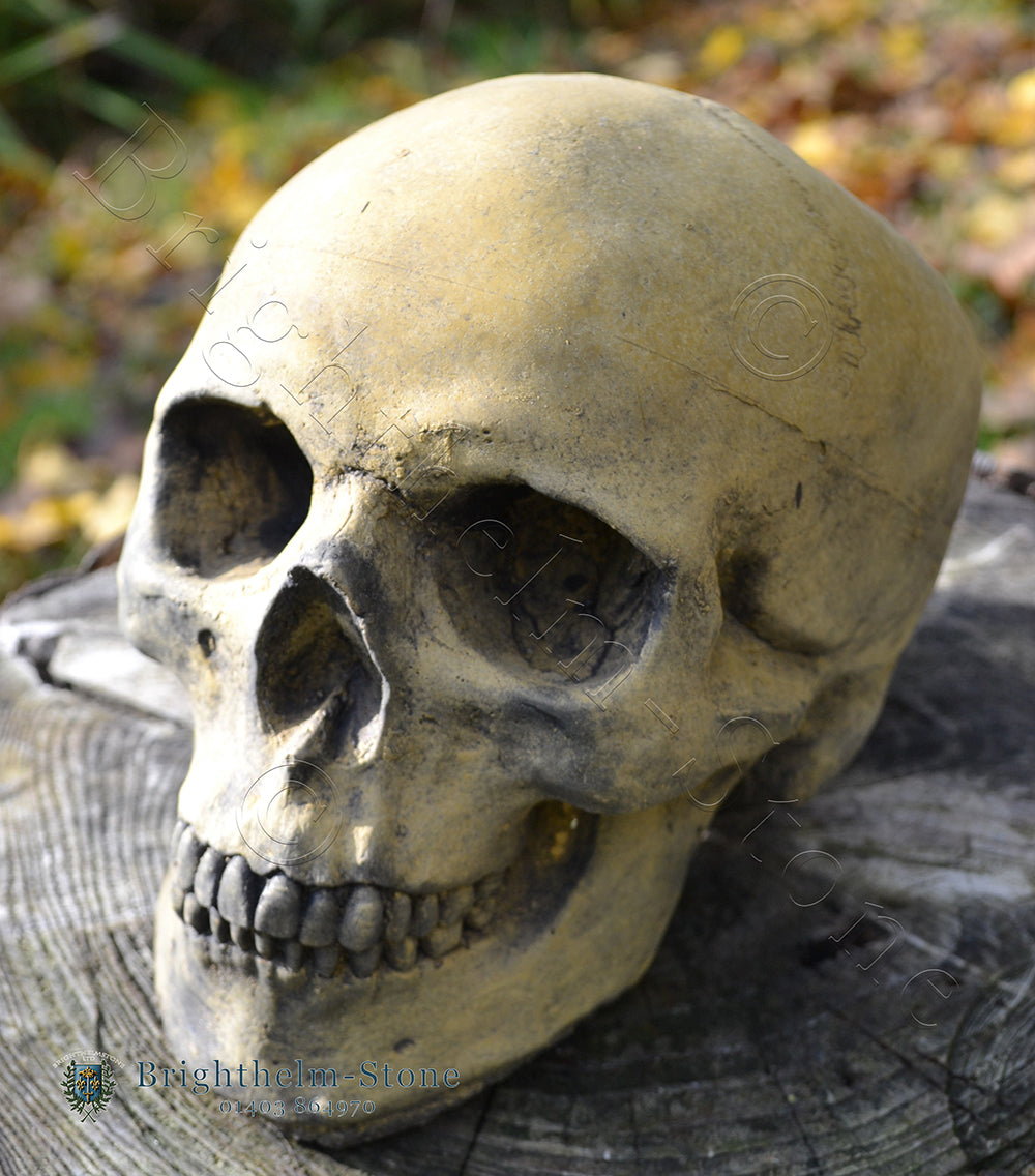 Human Skull Ornament