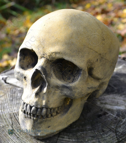 Human Skull Ornament