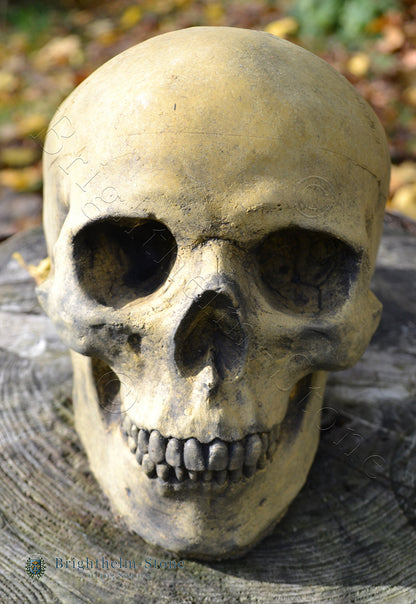 Human Skull Ornament