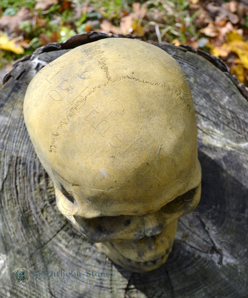 Human Skull Ornament