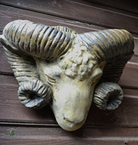Rams Head Planter