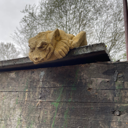 Shelf Gargoyle