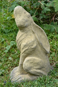 Small Moon Gazing Hare