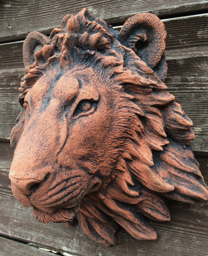 Small Lion Head