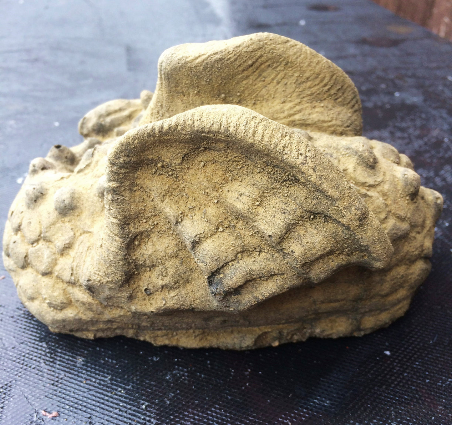 Spike Dragon Ornament