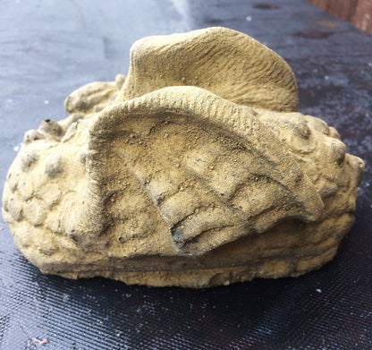 Spike Dragon Ornament