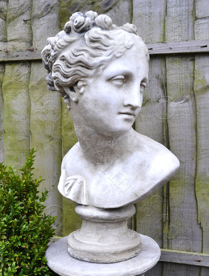Aphrodite Bust