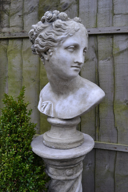 Aphrodite Bust