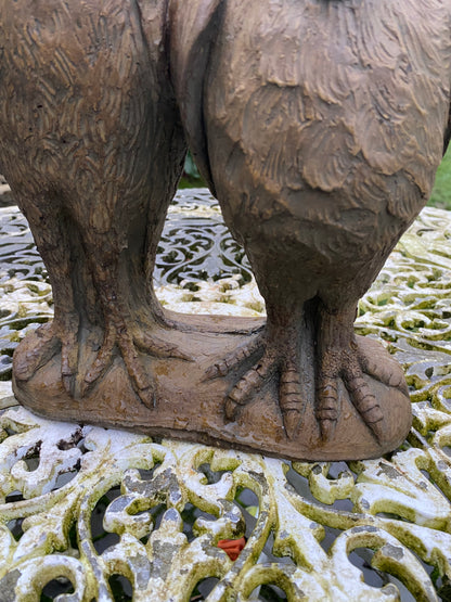 Wally Birds Walter and Charles