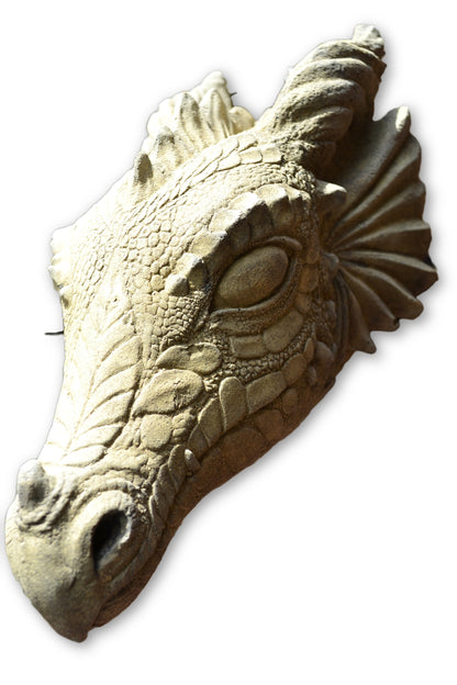 Wyvern Dragon Head