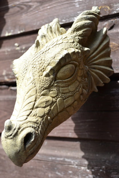 Wyvern Dragon Head