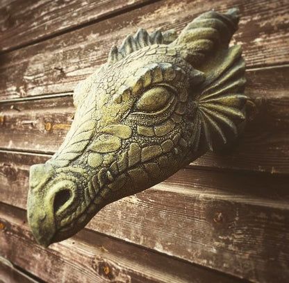 Wyvern Dragon Head
