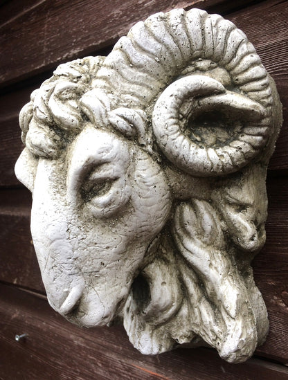 Small Rams Head