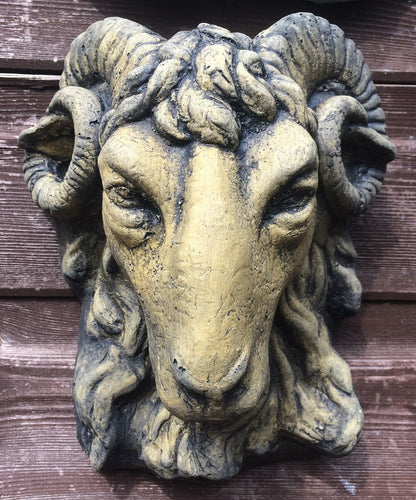 Small Rams Head