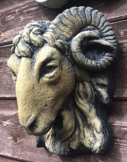 Small Rams Head