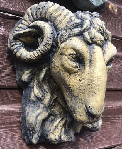 Small Rams Head