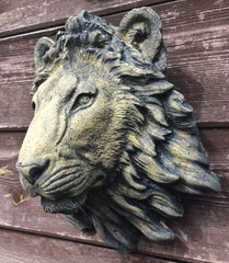 Small Lion Head