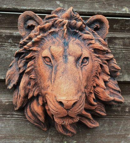 Small Lion Head