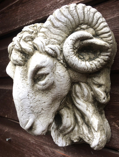 Small Rams Head