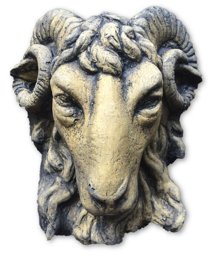 Small Rams Head