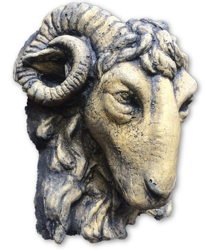 Small Rams Head