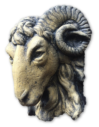 Small Rams Head