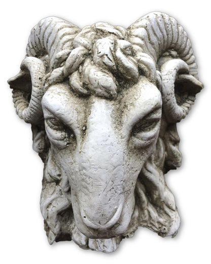 Small Rams Head