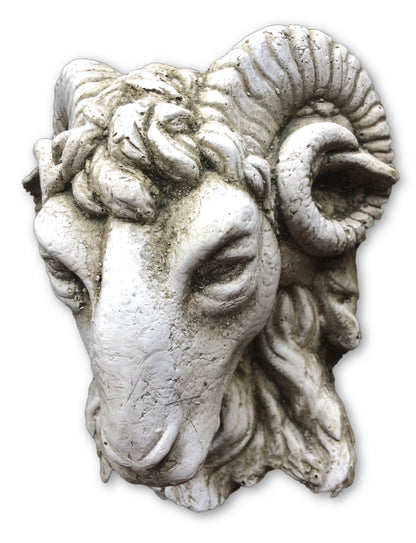 Small Rams Head