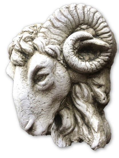 Small Rams Head